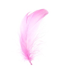 Photo of One fluffy pink feather isolated on white