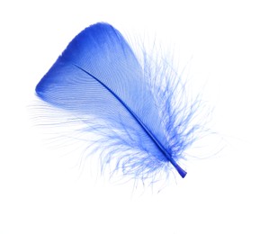 Photo of One fluffy blue feather isolated on white