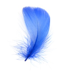 Photo of One fluffy blue feather isolated on white