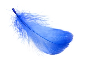 Photo of One fluffy blue feather isolated on white