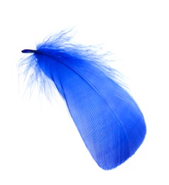 Photo of One fluffy blue feather isolated on white