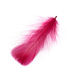 One fluffy pink feather isolated on white