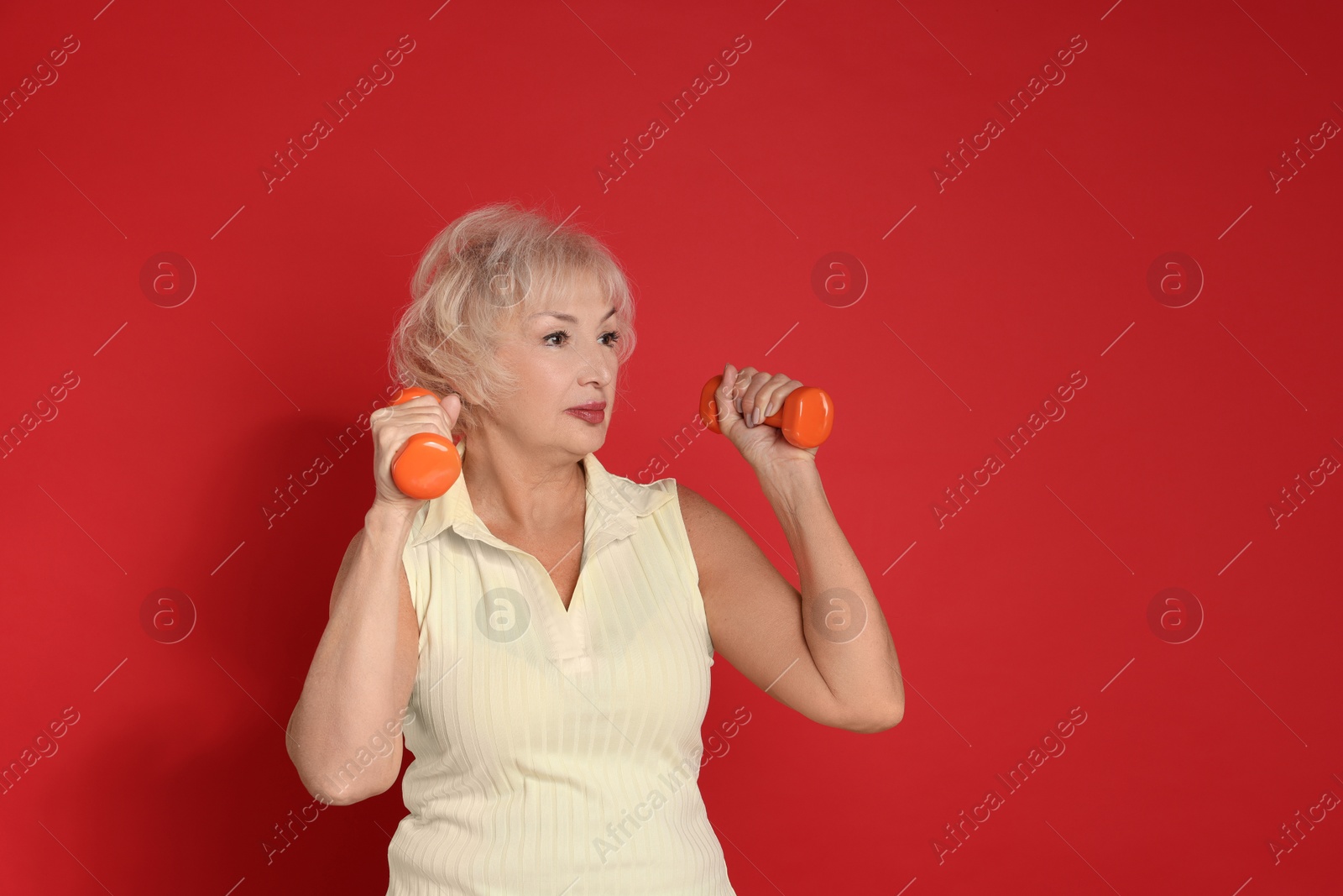 Photo of Senior woman exercising with dumbbells on red background, space for text