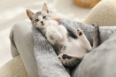 Photo of Woman with cute kitten at home, closeup