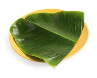 Photo of Plate with cut banana leaf isolated on white. Healthy eco serving