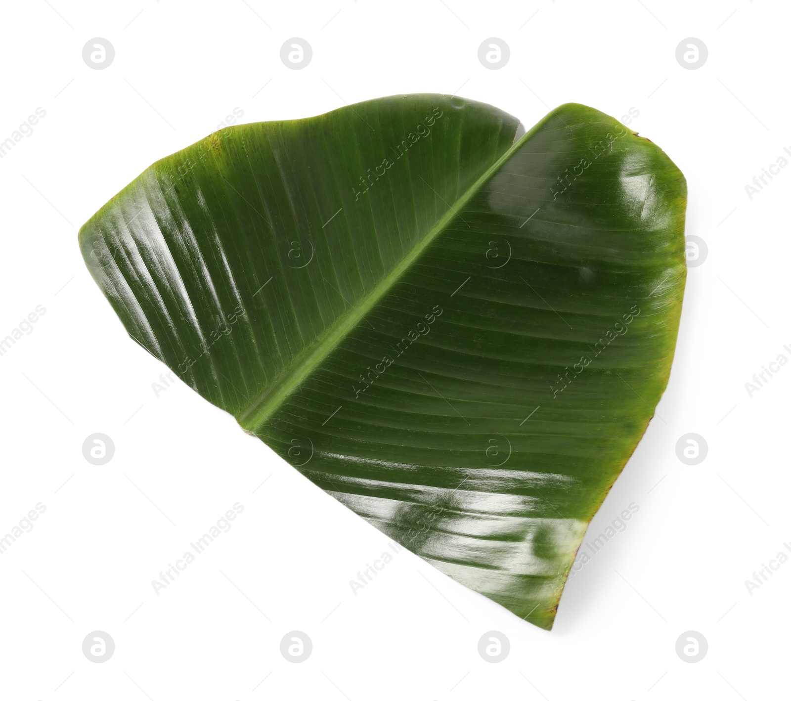 Photo of Cut banana leaf isolated on white, above view. Healthy eco serving