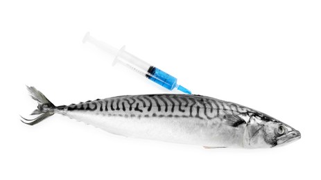 GMO concept. Makerel fish and syringe isolated on white, top view