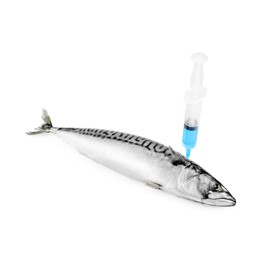 GMO concept. Makerel fish and syringe isolated on white