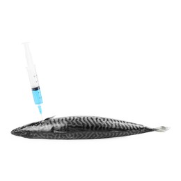 Photo of GMO concept. Makerel fish and syringe isolated on white