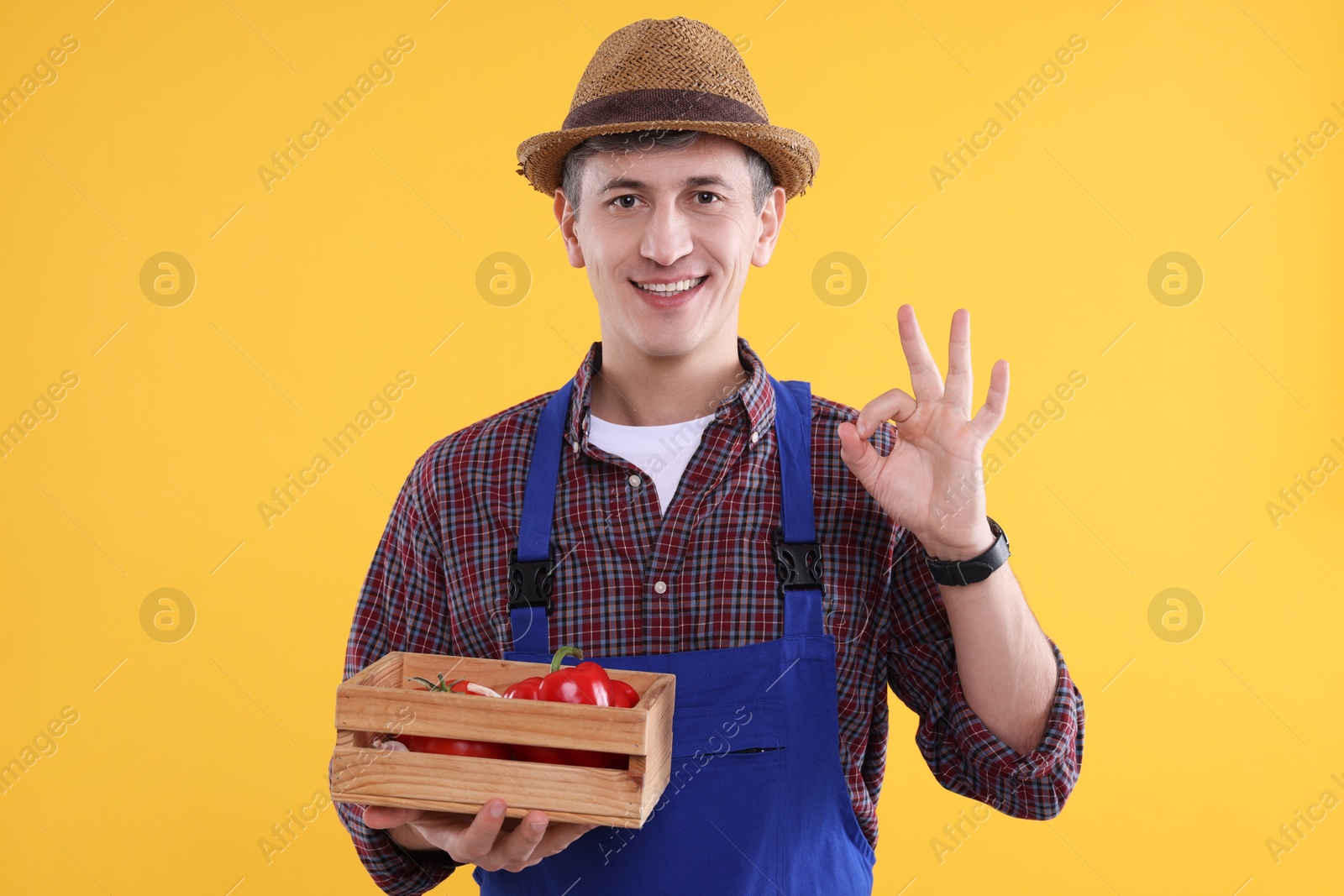 Photo of Farmer with vegetables showing okay gesture on orange background