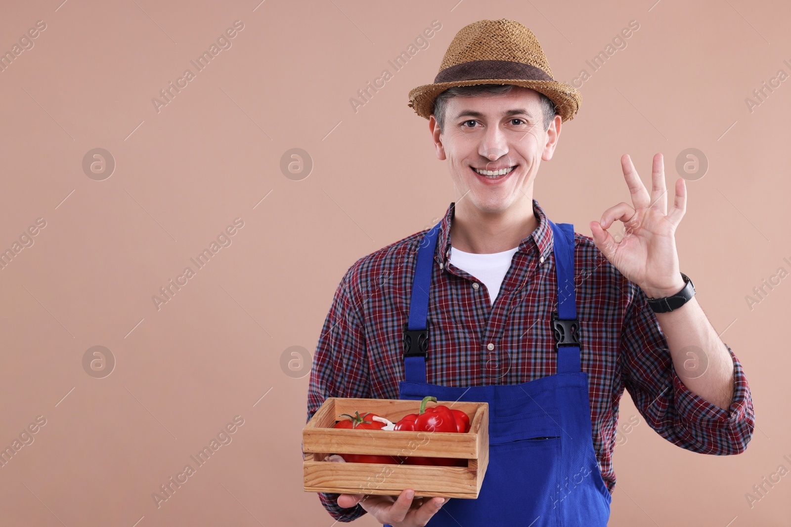 Photo of Farmer with vegetables showing okay gesture on light brown background. Space for text