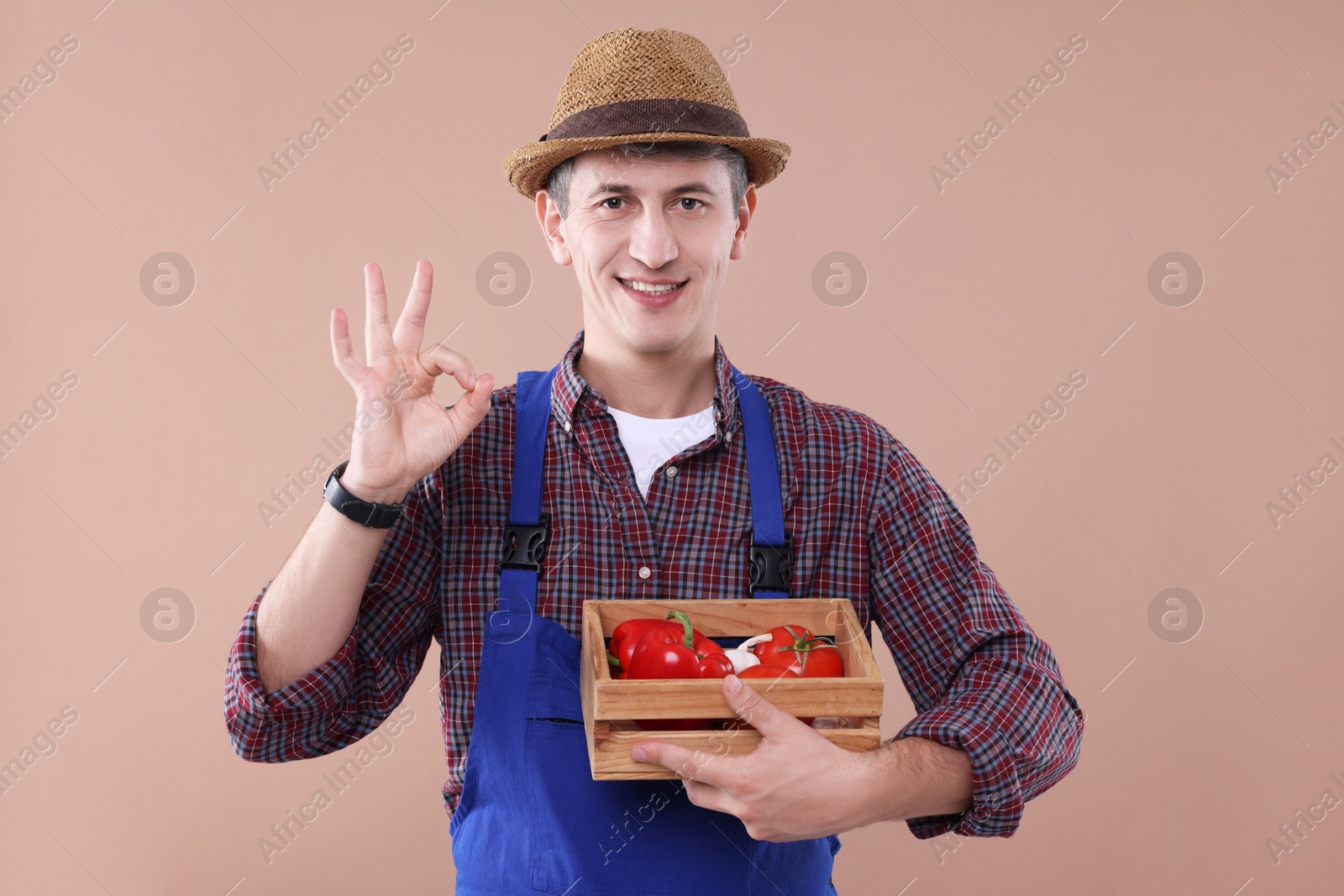 Photo of Farmer with vegetables showing okay gesture on light brown background