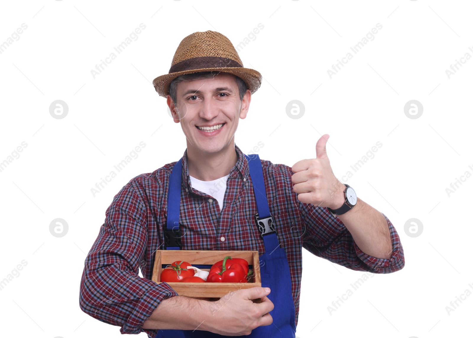 Photo of Farmer with vegetables showing thumbs up on white background