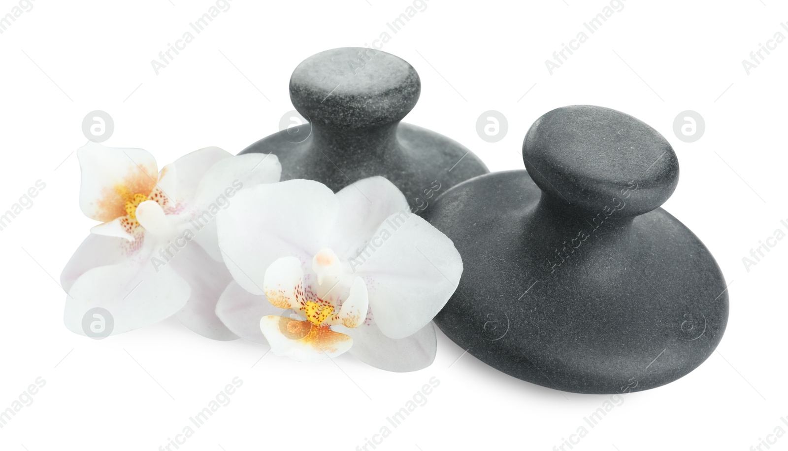 Photo of Spa stones and orchid flowers isolated on white