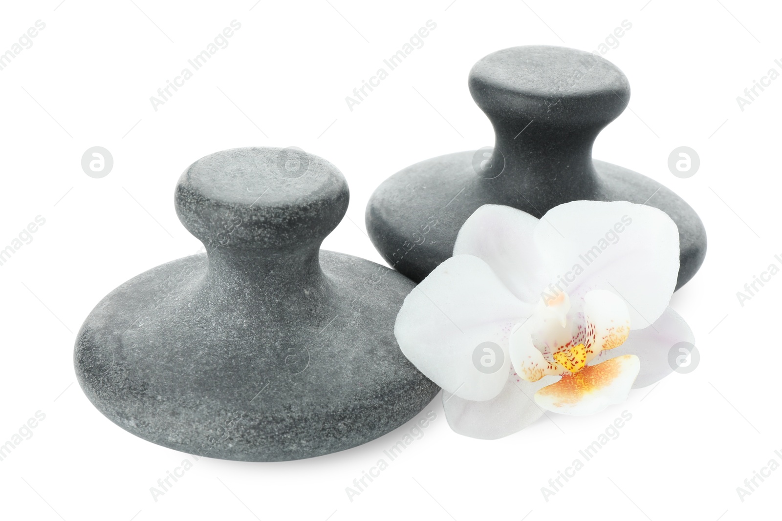 Photo of Spa stones and orchid flower isolated on white