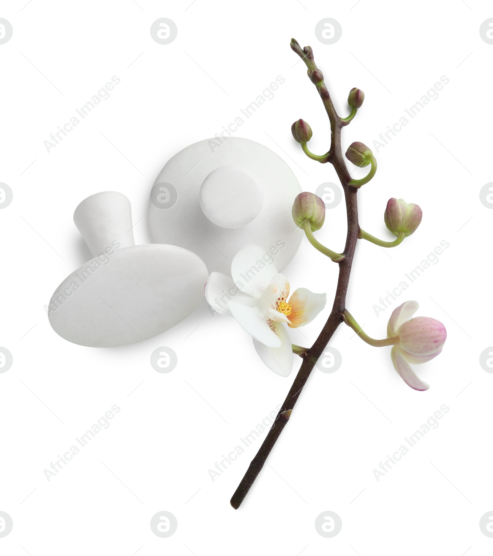 Photo of Spa stones and orchid branch isolated on white, top view