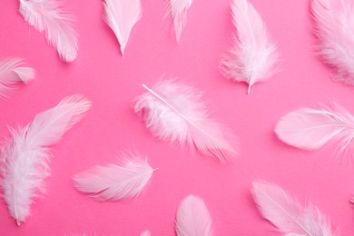 Photo of Beautiful fluffy feathers on pink background, flat lay