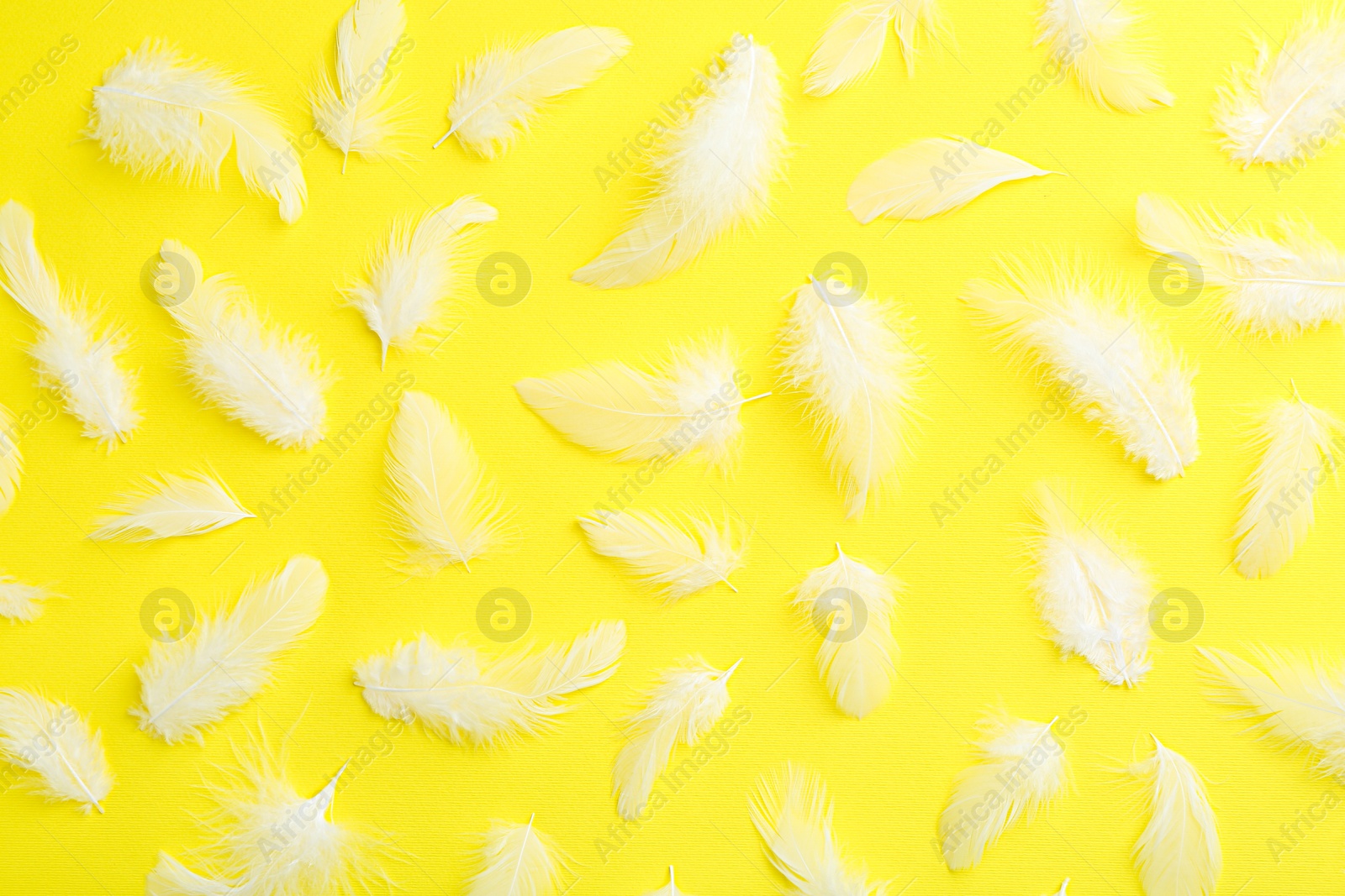 Photo of Beautiful fluffy feathers on yellow background, flat lay