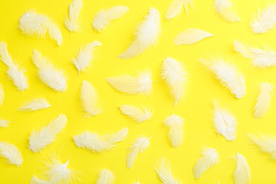 Photo of Beautiful fluffy feathers on yellow background, flat lay