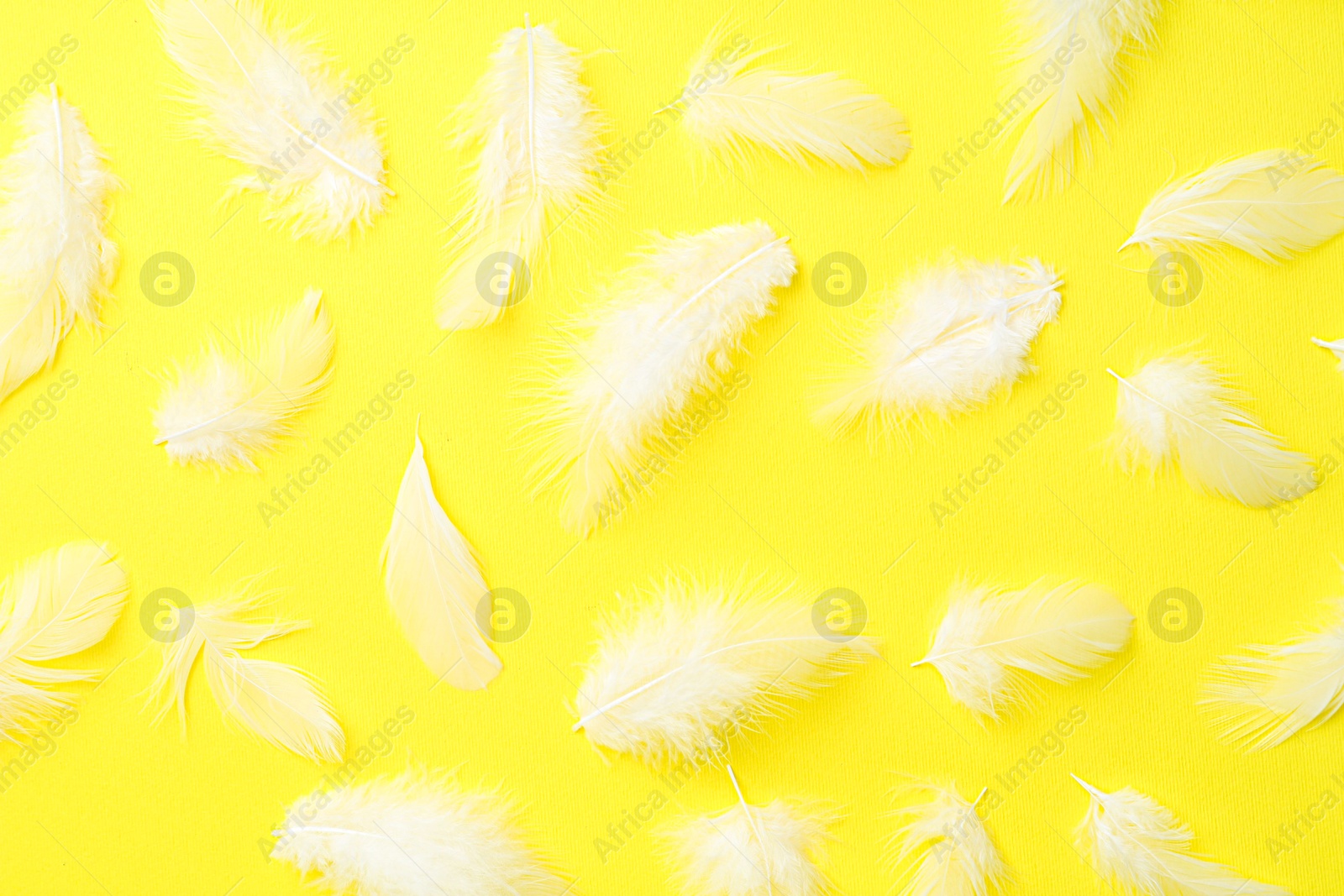 Photo of Beautiful fluffy feathers on yellow background, flat lay