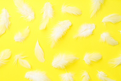 Photo of Beautiful fluffy feathers on yellow background, flat lay