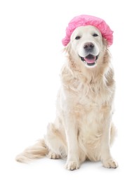 Photo of Cute dog in pink shower cap on white background