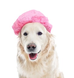 Photo of Cute dog in pink shower cap on white background