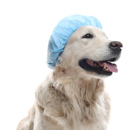 Photo of Cute dog in light blue shower cap on white background