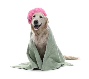 Photo of Cute dog with pink shower cap and towel on white background