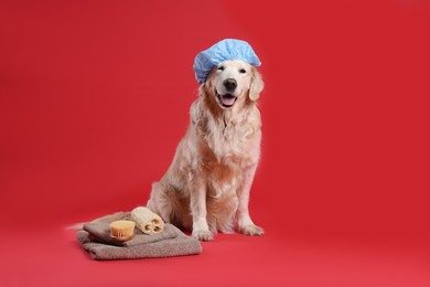 Photo of Cute dog with shower cap and other bath accessories on red background