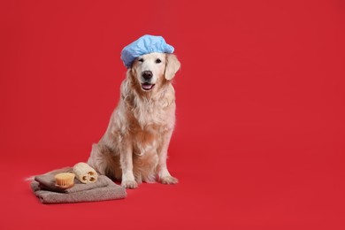 Photo of Cute dog with shower cap and other bath accessories on red background. Space for text