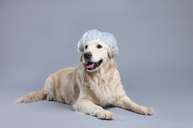 Photo of Cute funny dog with shower cap on grey background