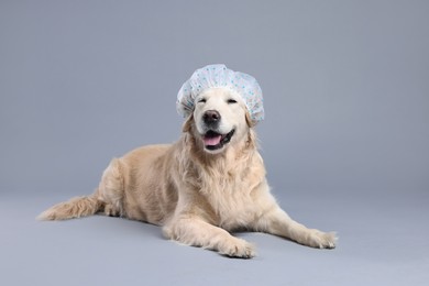 Photo of Cute funny dog with shower cap on grey background