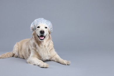 Photo of Cute funny dog with shower cap on grey background. Space for text