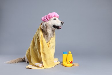 Photo of Cute dog with shower cap and other bath accessories on grey background. Space for text