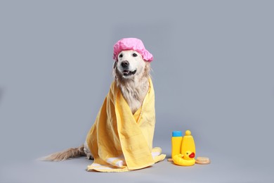 Photo of Cute dog with shower cap and other bath accessories on grey background