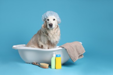 Photo of Cute funny dog with shower cap in small bathtub and other bath accessories on light blue background