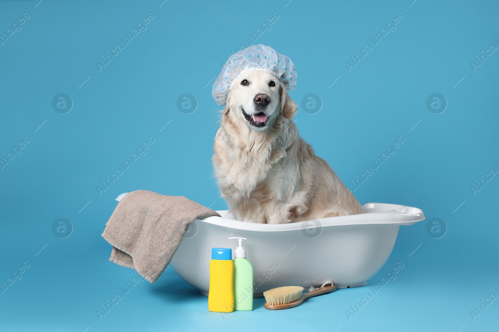 Photo of Cute funny dog with shower cap in small bathtub and other bath accessories on light blue background