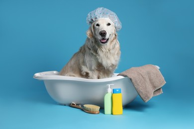 Photo of Cute funny dog with shower cap in small bathtub and other bath accessories on light blue background