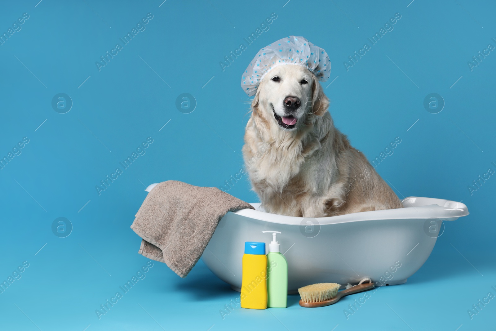 Photo of Cute funny dog with shower cap in small bathtub and other bath accessories on light blue background