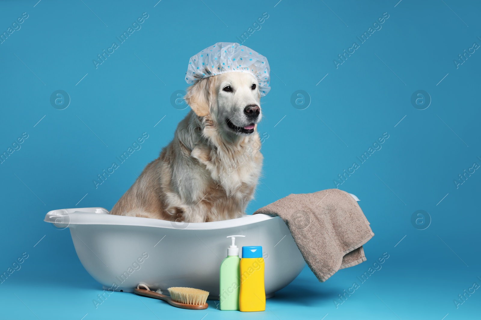 Photo of Cute funny dog with shower cap in small bathtub and other bath accessories on light blue background