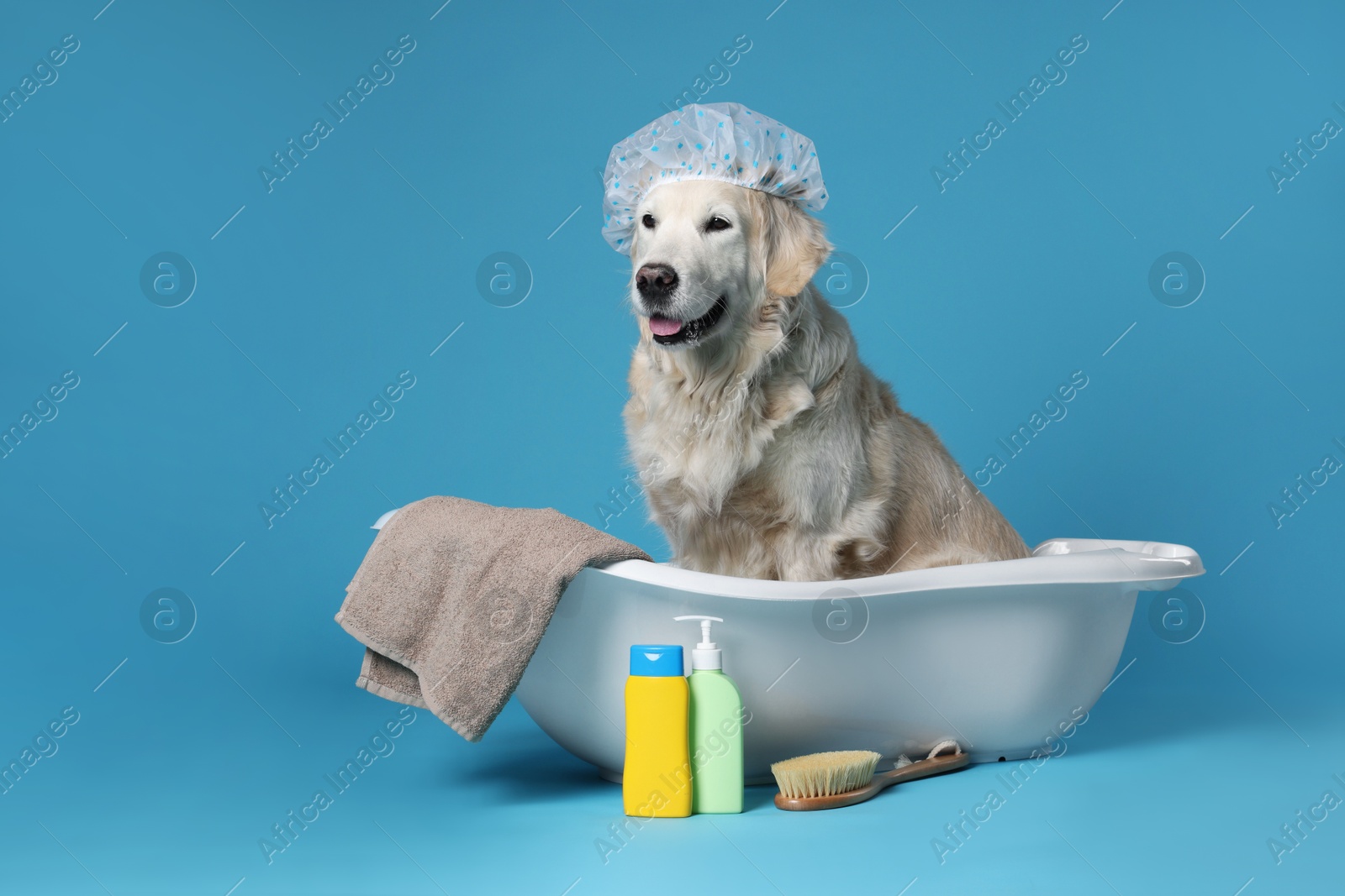 Photo of Cute funny dog with shower cap in small bathtub and other bath accessories on light blue background