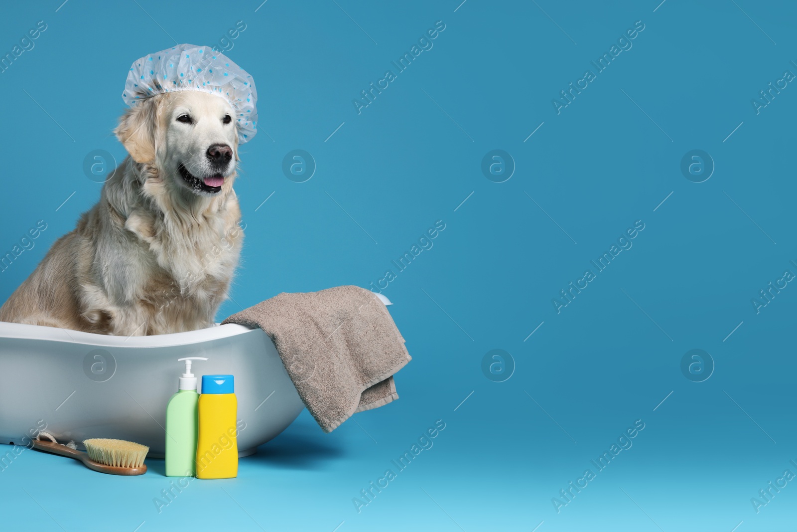 Photo of Cute funny dog with shower cap in small bathtub and other bath accessories on light blue background. Space for text