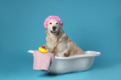 Photo of Cute dog with shower cap, towel and toy duck in small bathtub on light blue background