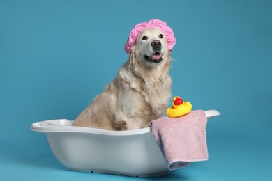 Photo of Cute dog with shower cap, towel and toy duck in small bathtub on light blue background