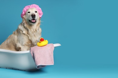 Photo of Cute dog with shower cap, towel and toy duck in small bathtub on light blue background. Space for text