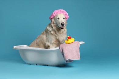 Photo of Cute dog with shower cap, towel and toy duck in small bathtub on light blue background. Space for text