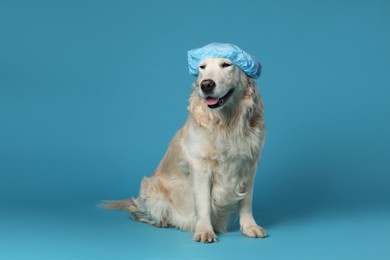 Photo of Cute funny dog in shower cap on light blue background