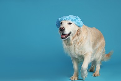 Photo of Cute funny dog in shower cap on light blue background. Space for text