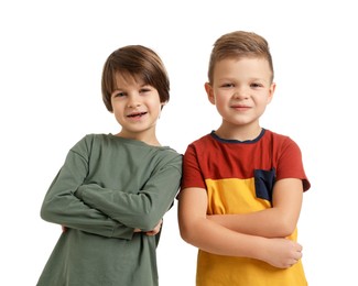 Portrait of cute brothers on white background